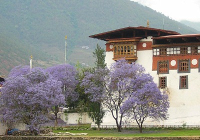 Dzong (fort) in Punakha, Bhutan